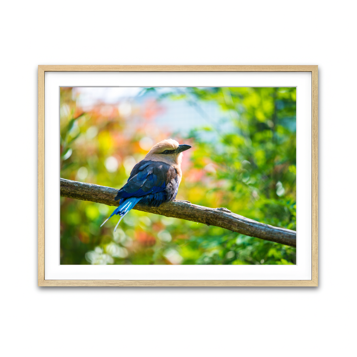 Framed Print 4x3 Natural