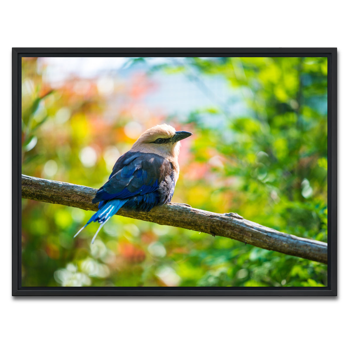 AUTO-MOCKUP WHITE | Bird on a tree | 1 Piece | Black Framed Canvas | group=4x3