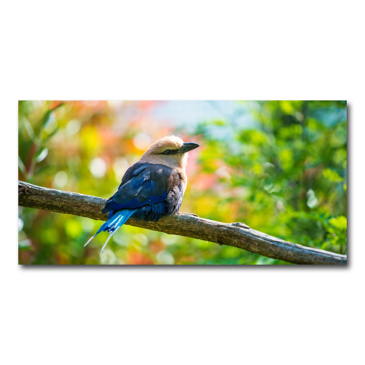 AUTO-MOCKUP WHITE | Bird on a tree | 1 Piece | Gallery Wrap Canvas | group=2x1