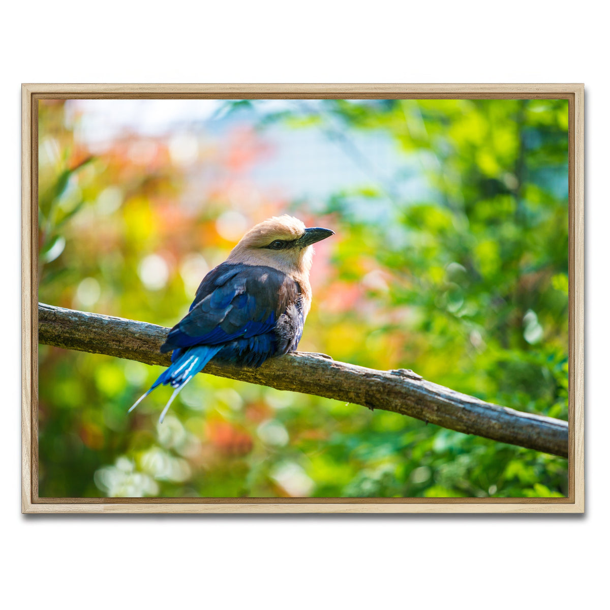 AUTO-MOCKUP WHITE | Bird on a tree | 1 Piece | Natural Framed Canvas | group=4x3