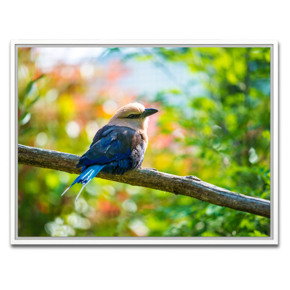 AUTO-MOCKUP WHITE | Bird on a tree | 1 Piece | White Framed Canvas | group=4x3