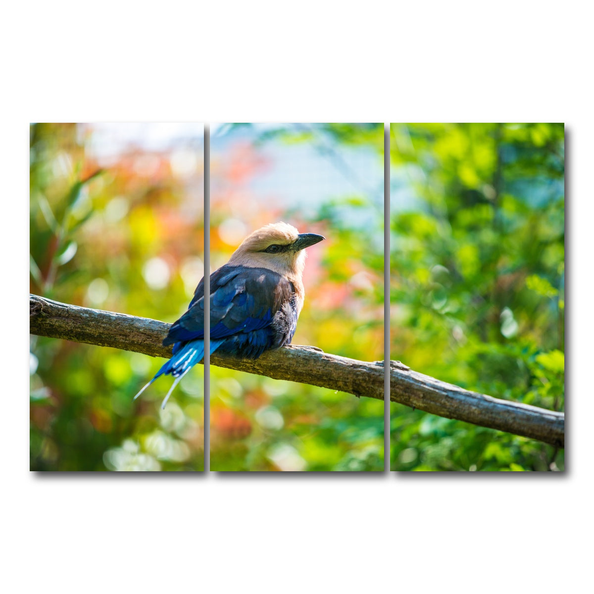 AUTO-MOCKUP WHITE | Bird on a tree | 3 Piece | Gallery Wrap Canvas | group=12x24