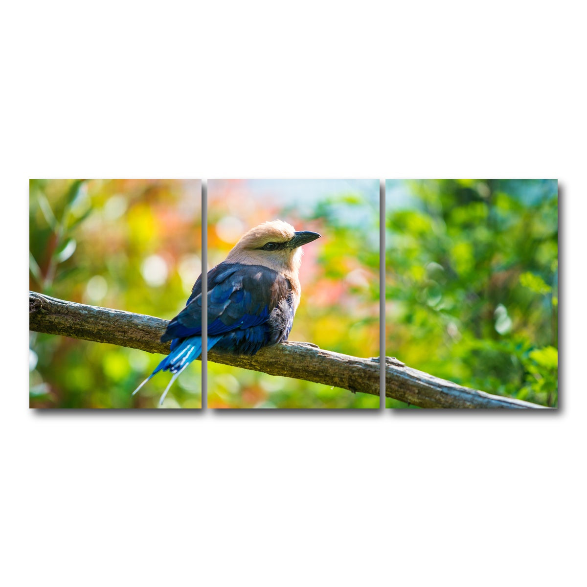AUTO-MOCKUP WHITE | Bird on a tree | 3 Piece | Gallery Wrap Canvas | group=18x24