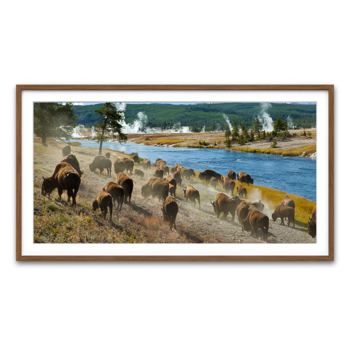 Framed Print 2x1 Walnut