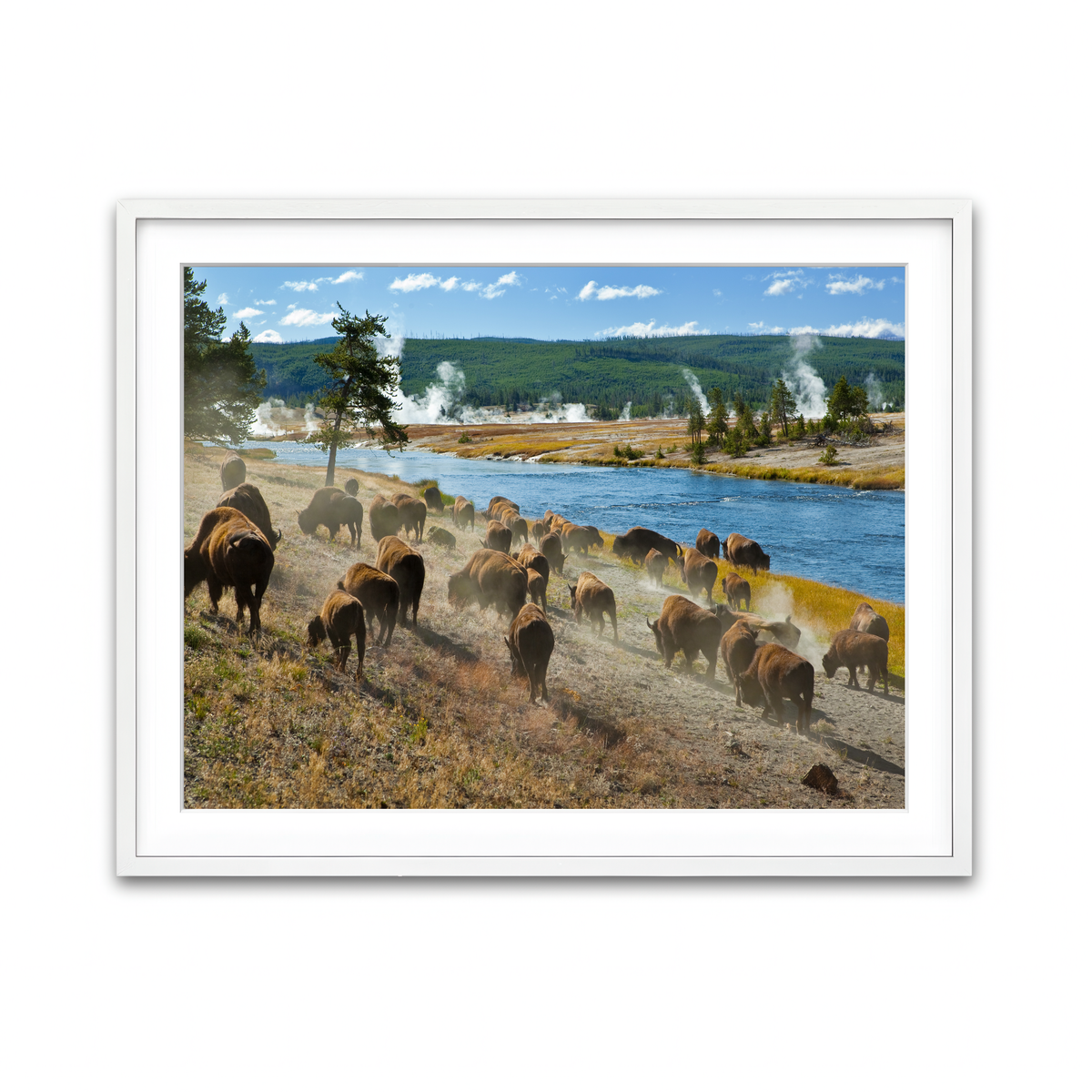 Framed Print 4x3 White