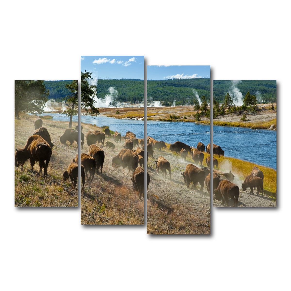 AUTO-MOCKUP WHITE | Bison Herd in Yellowstone | 4 Piece | Gallery Wrap Canvas | group=4_short