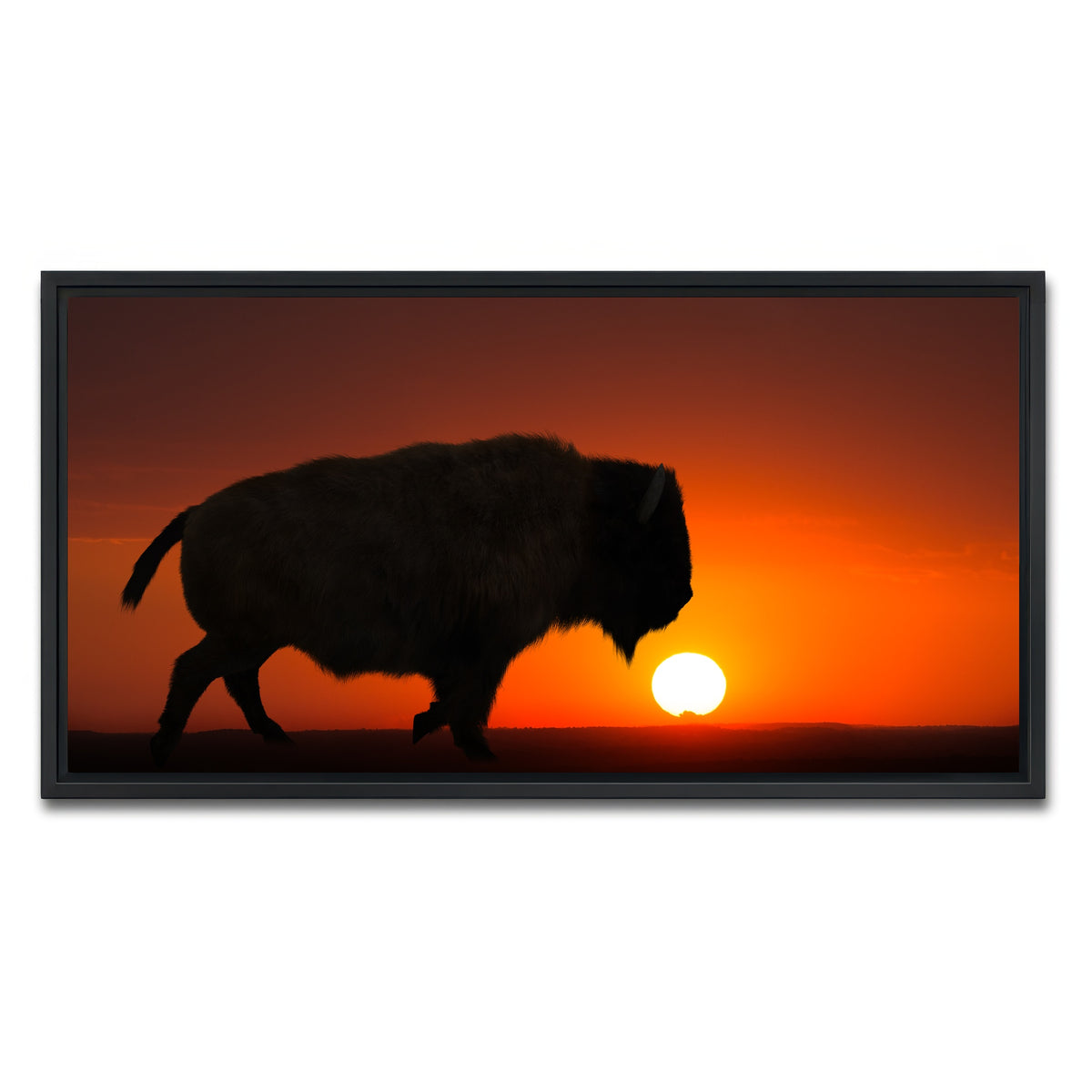 AUTO-MOCKUP WHITE | Bison at Sunset | 1 Piece | Black Framed Canvas | group=2x1
