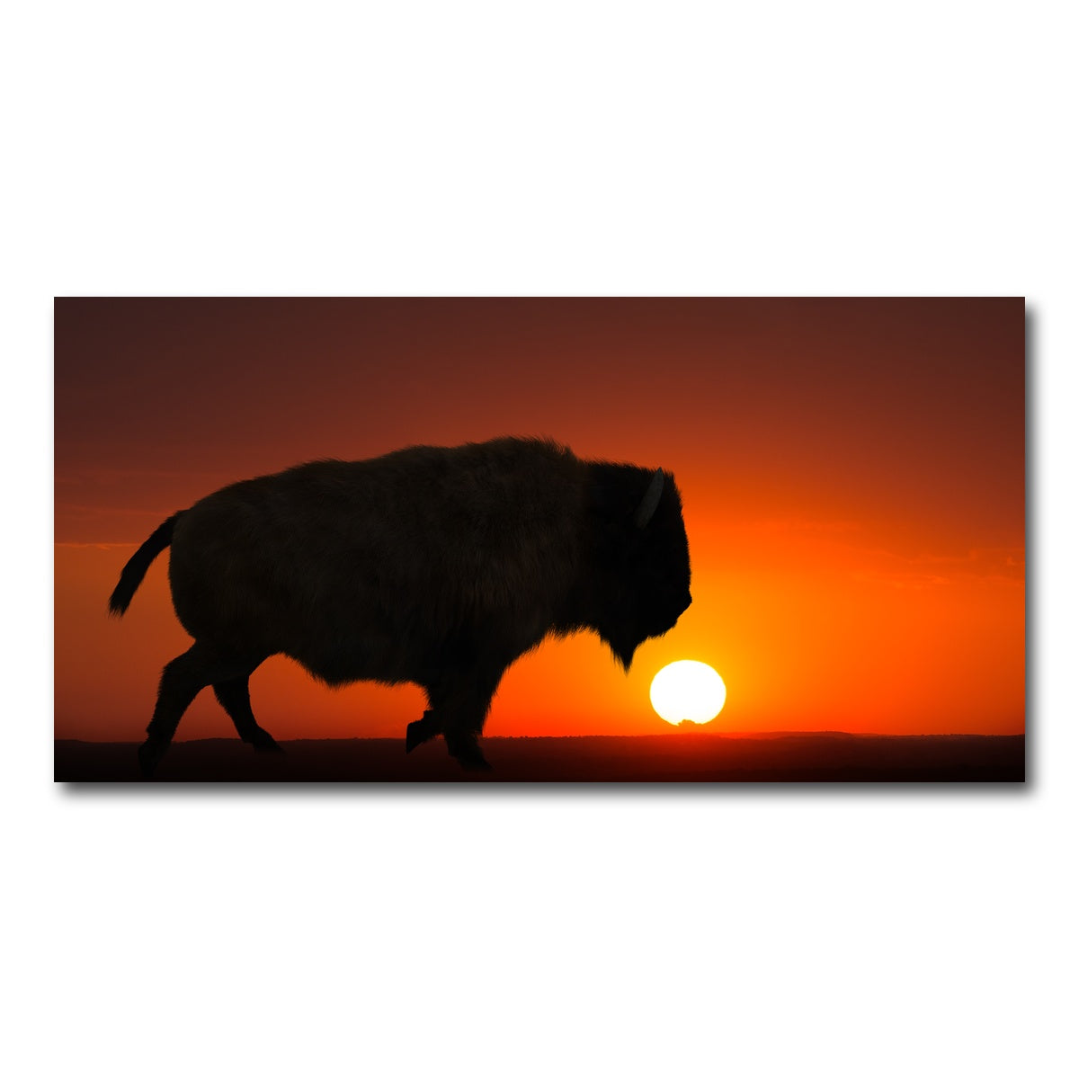 AUTO-MOCKUP WHITE | Bison at Sunset | 1 Piece | Gallery Wrap Canvas | group=2x1