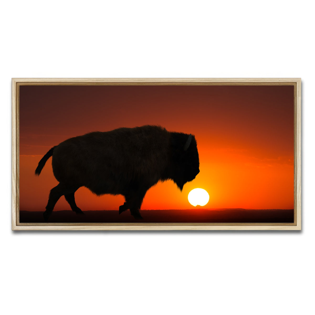 AUTO-MOCKUP WHITE | Bison at Sunset | 1 Piece | Natural Framed Canvas | group=2x1