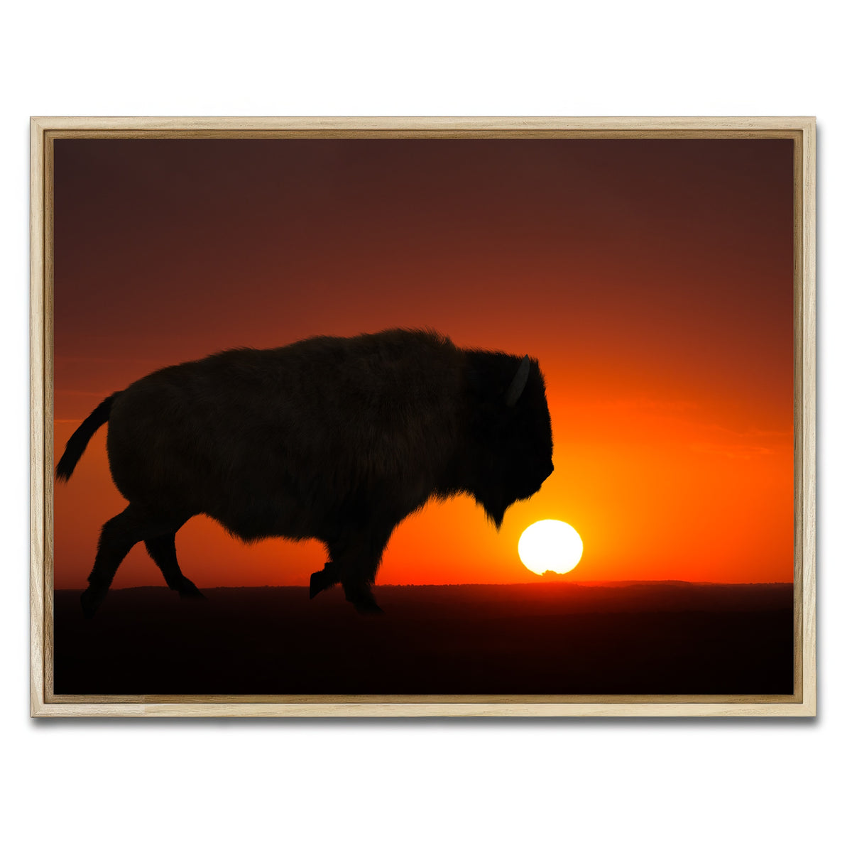 AUTO-MOCKUP WHITE | Bison at Sunset | 1 Piece | Natural Framed Canvas | group=4x3