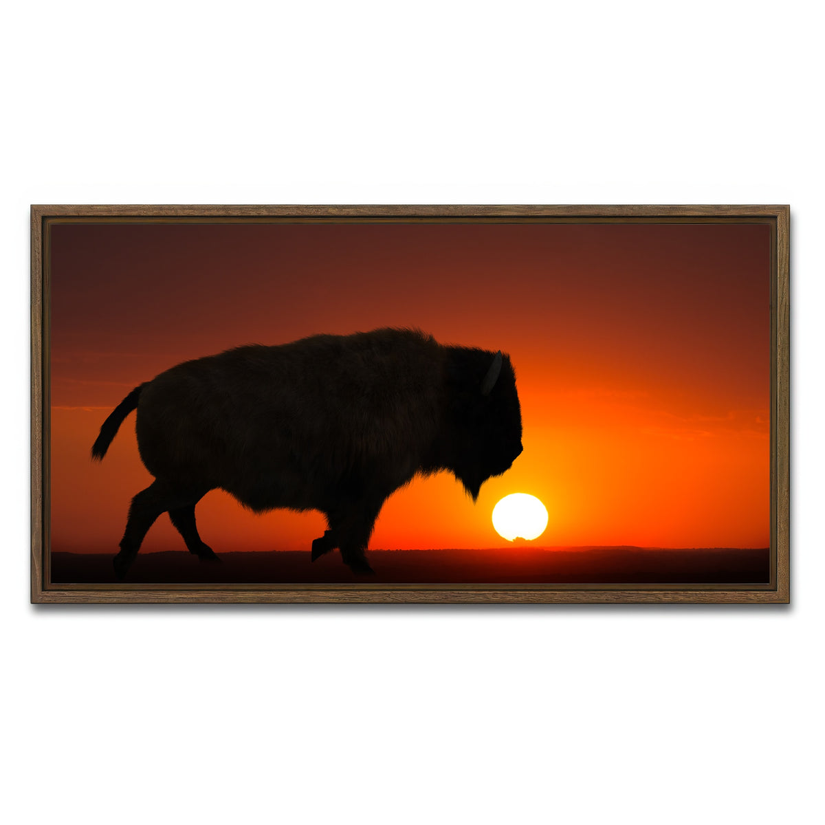 AUTO-MOCKUP WHITE | Bison at Sunset | 1 Piece | Walnut Framed Canvas | group=2x1