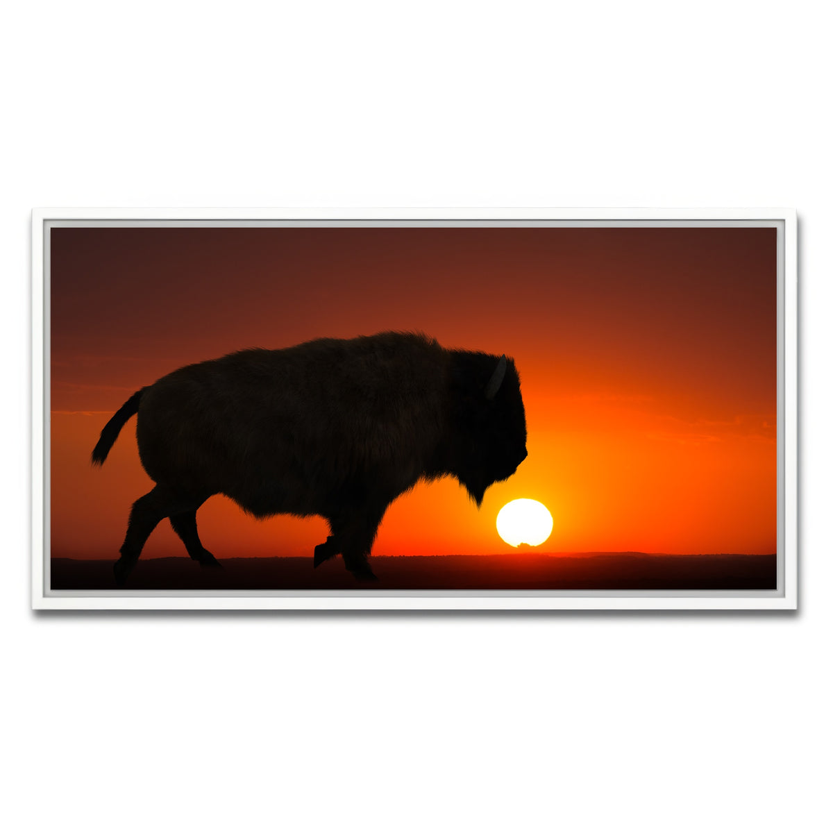 AUTO-MOCKUP WHITE | Bison at Sunset | 1 Piece | White Framed Canvas | group=2x1