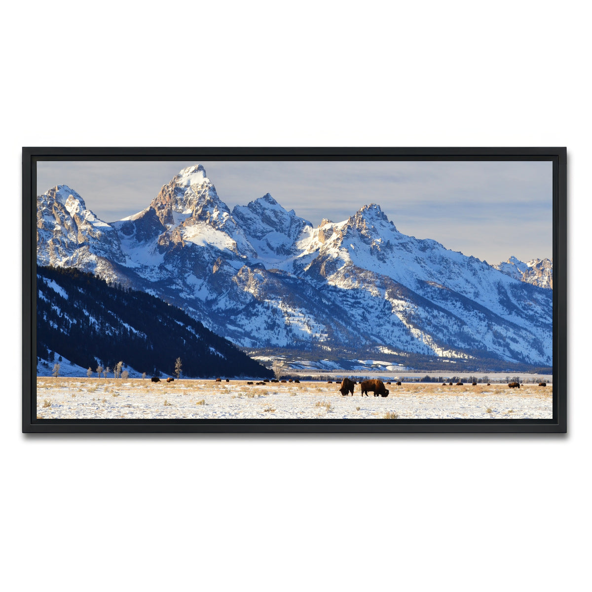 AUTO-MOCKUP WHITE | Bison grazing - Grand Teton National Park | 1 Piece | Black Framed Canvas | group=2x1