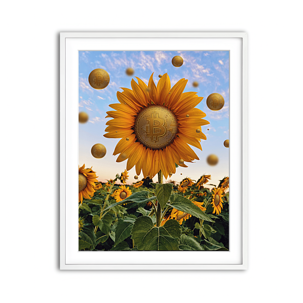 Framed Print 3x4 White