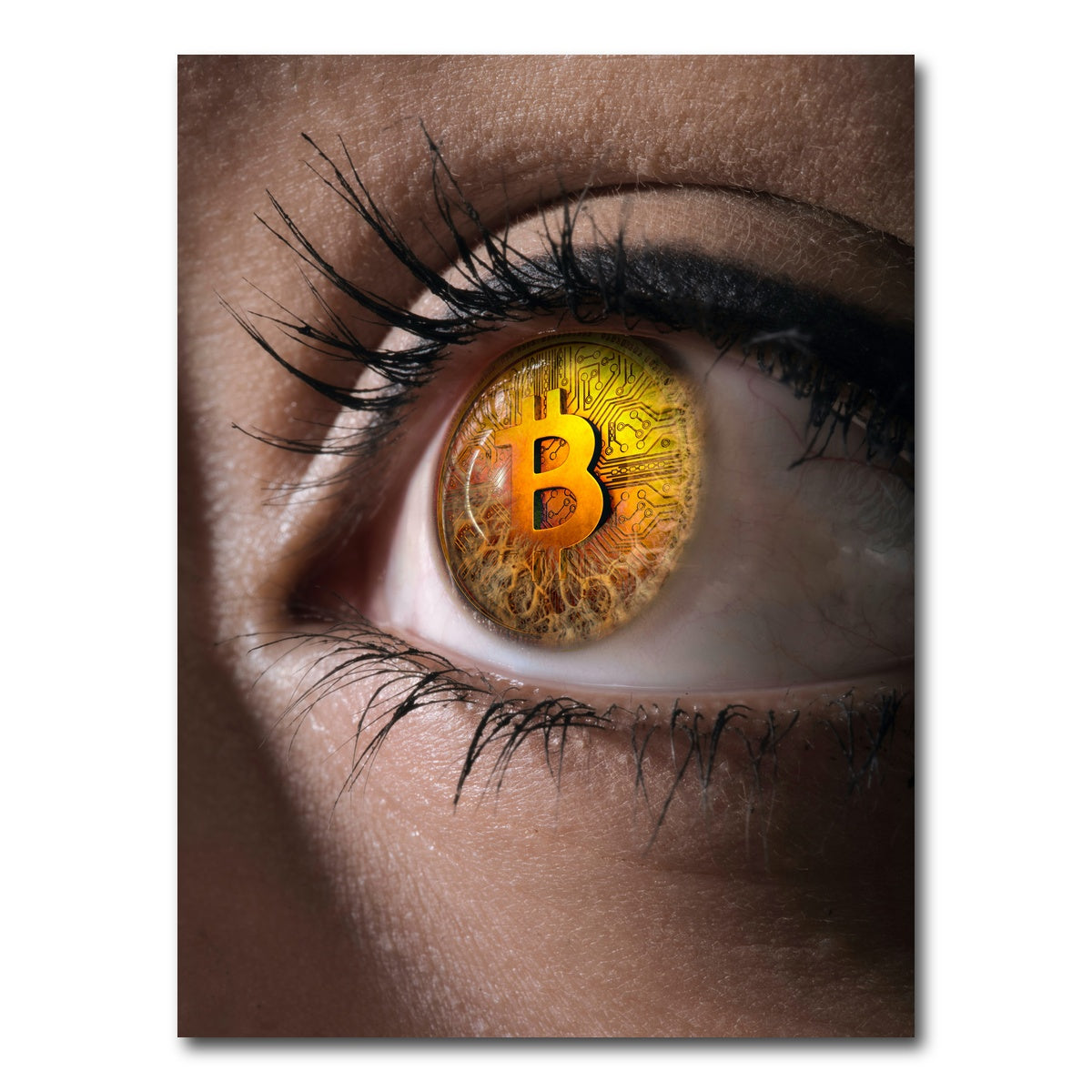 AUTO-MOCKUP WHITE | Bitcoin eye | 1 Piece | Gallery Wrap Canvas | group=3x4