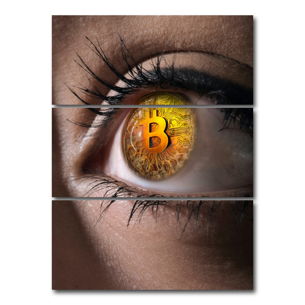 AUTO-MOCKUP WHITE | Bitcoin eye | 3 Piece | Gallery Wrap Canvas | group=8x18_stacked
