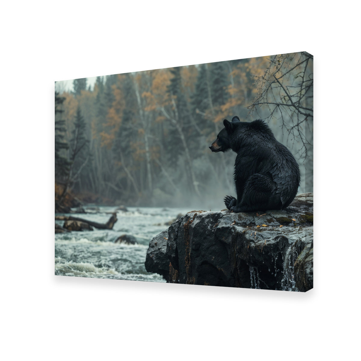 Black Bear River Wall Art