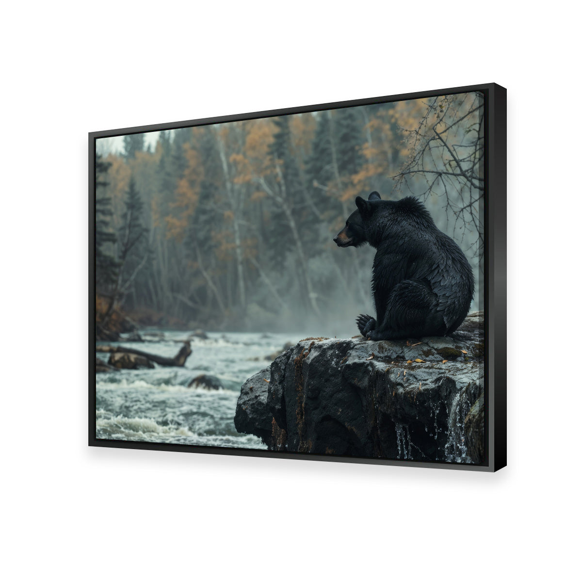 Black Bear River Wall Art