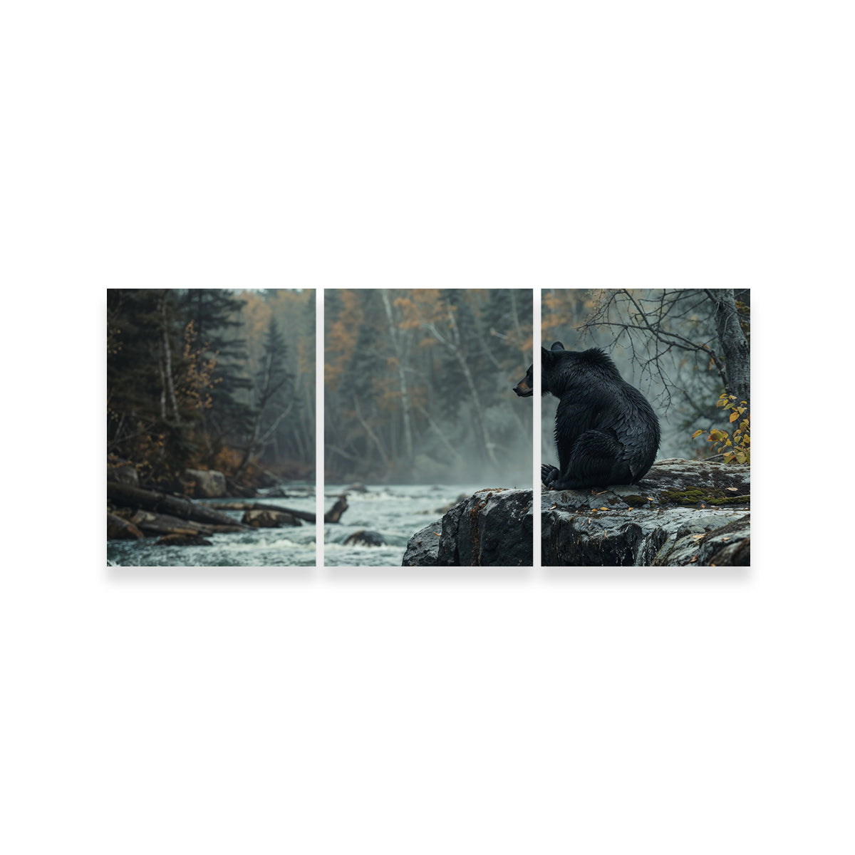 Black Bear River Wall Art