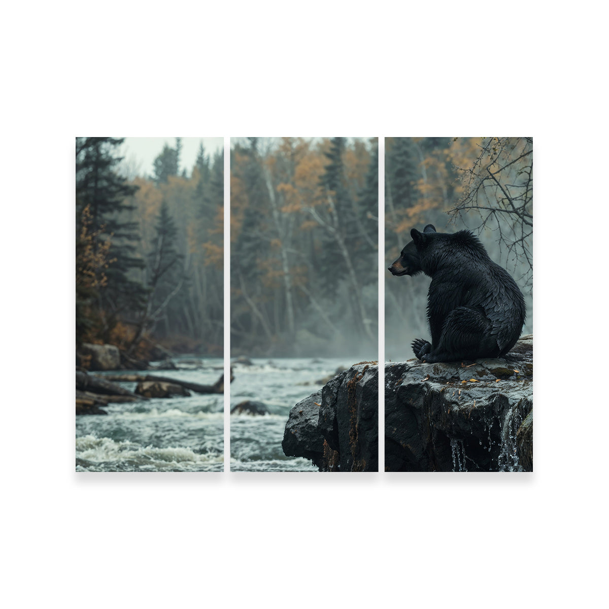 Black Bear River Wall Art