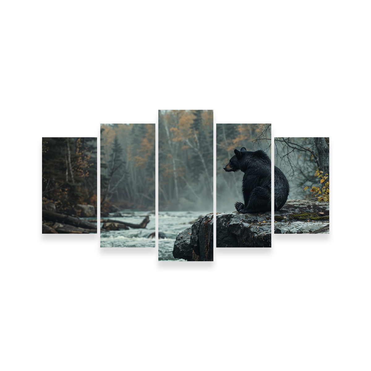 Black Bear River Wall Art