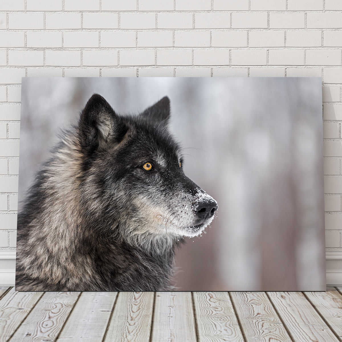 Black Grey Wolf Wall Art