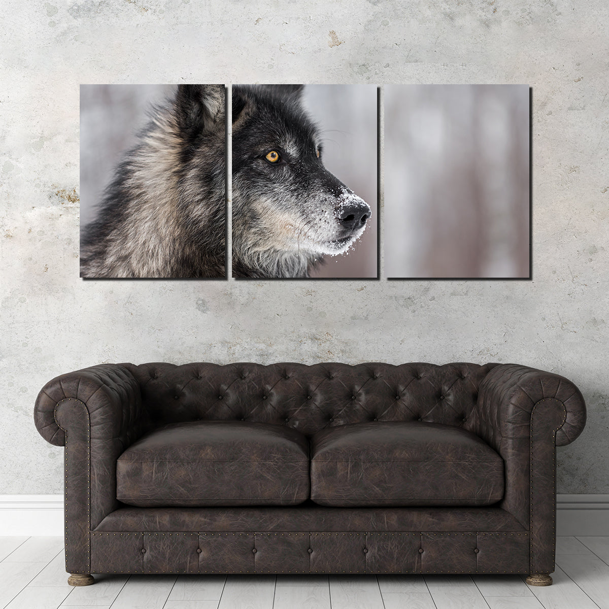 Black Grey Wolf Wall Art