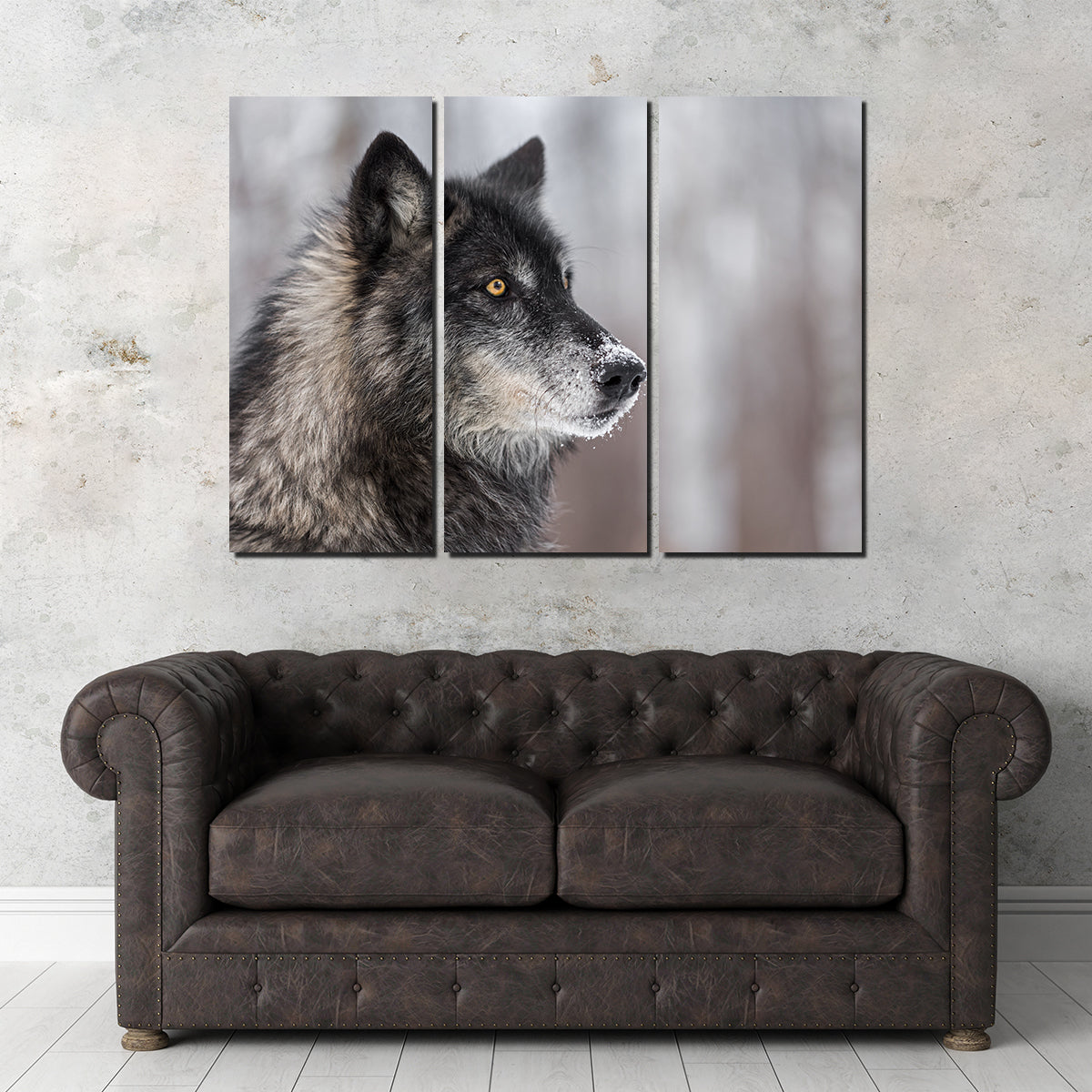 Black Grey Wolf Wall Art