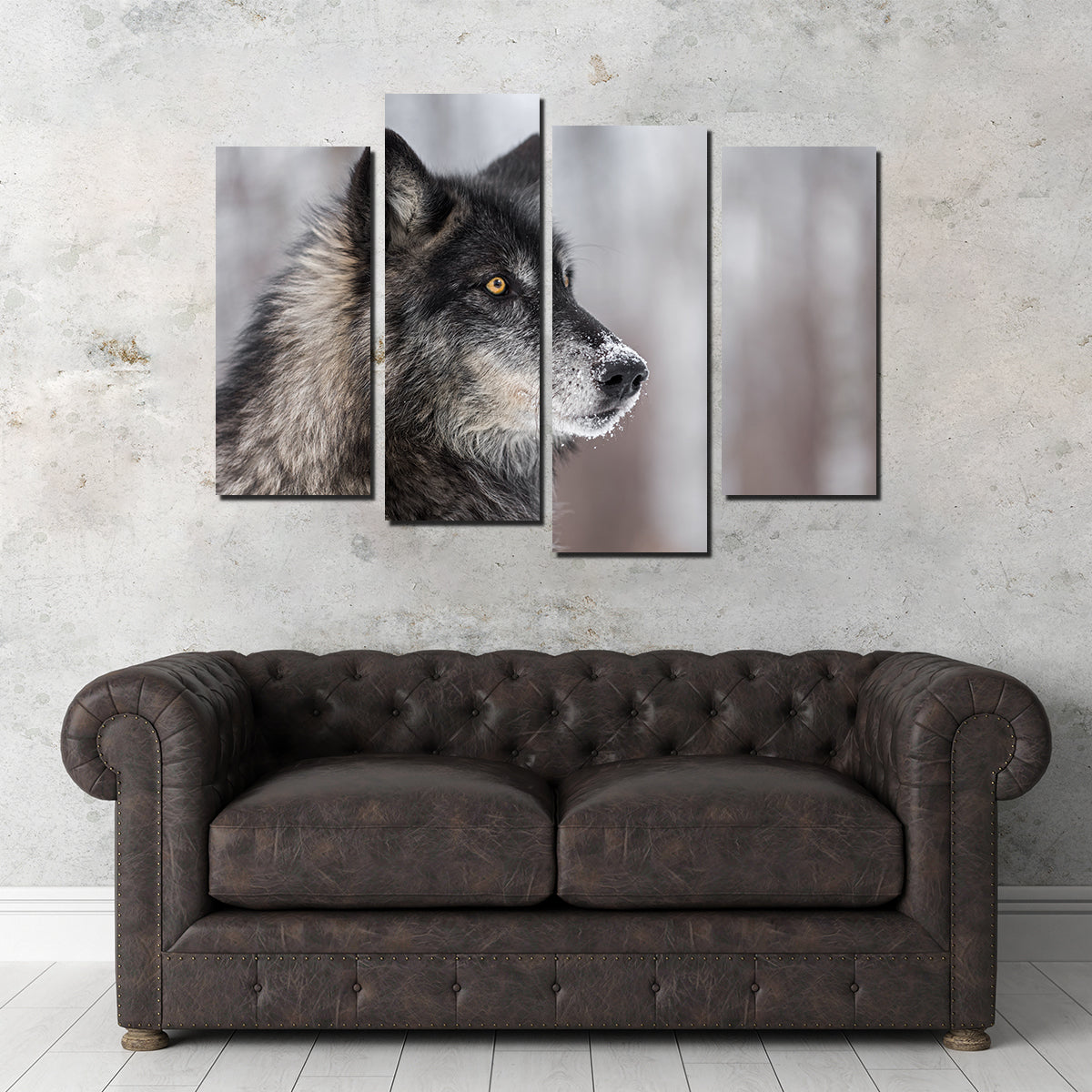 Black Grey Wolf Wall Art