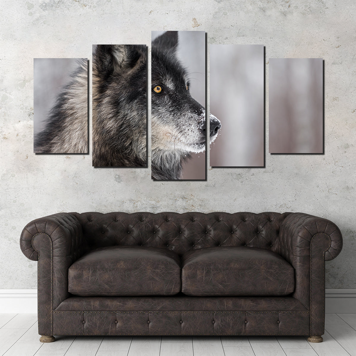 Black Grey Wolf Wall Art