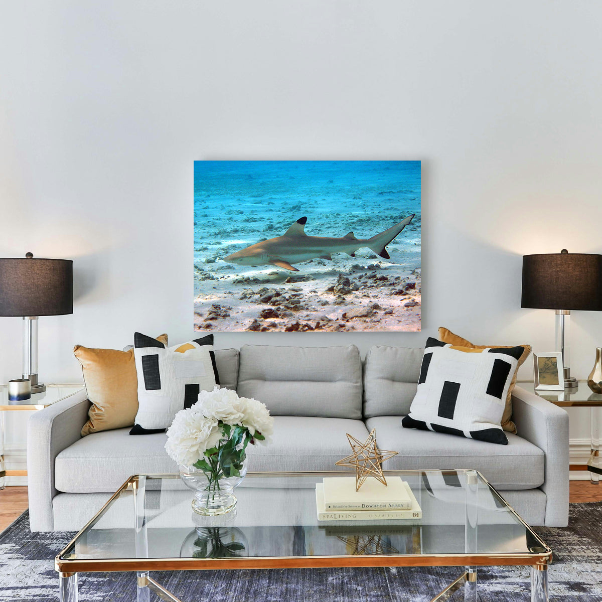 Black Tip Reef Shark Wall Art