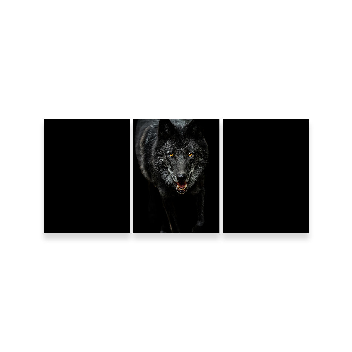 Black Wolf Black Background Wall Art