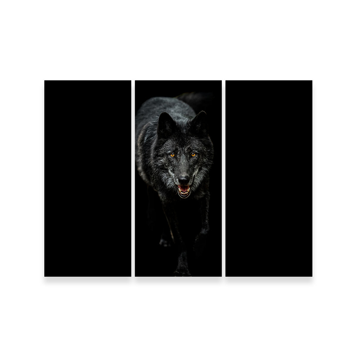 Black Wolf Black Background Wall Art