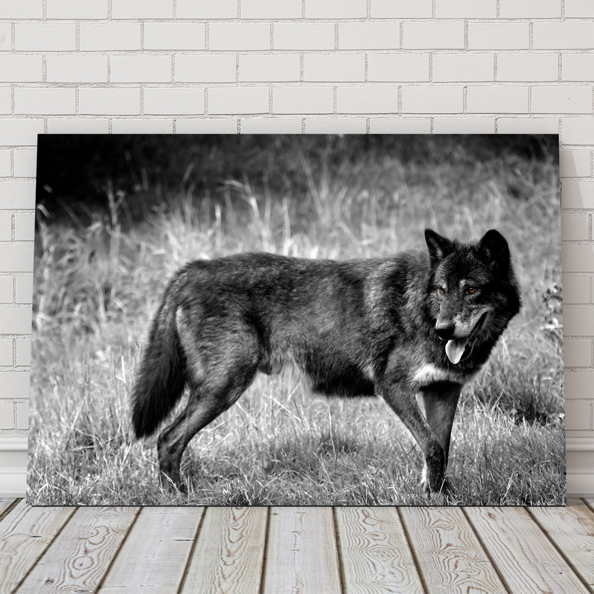 Black Wolf Grayscale Wall Art