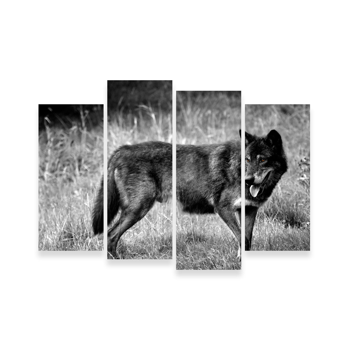 Black Wolf Grayscale Wall Art