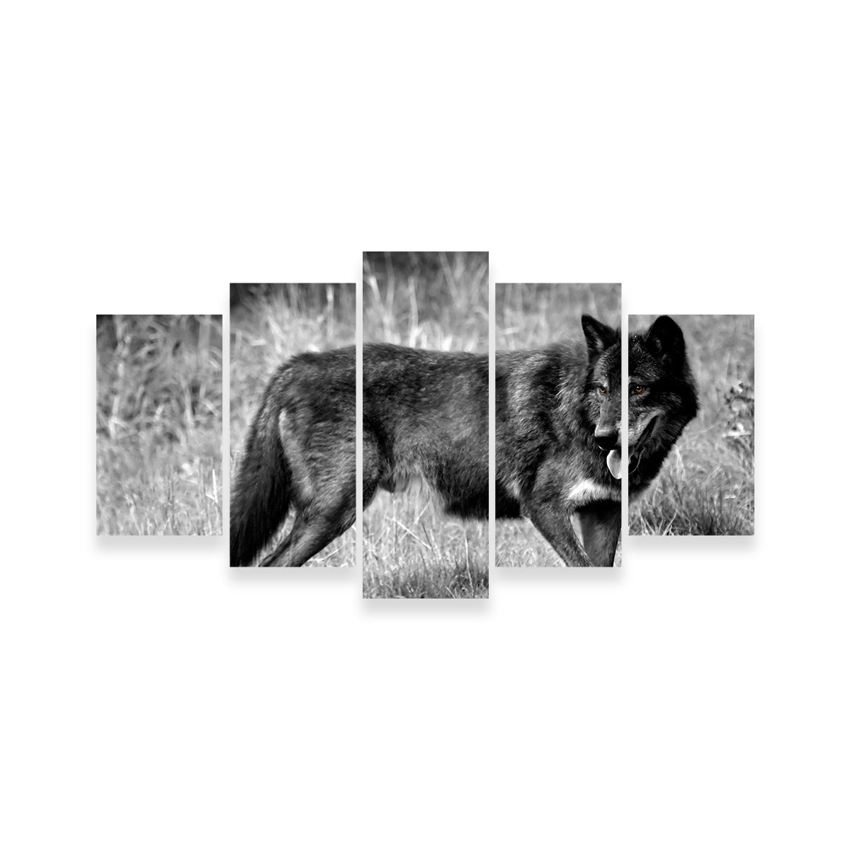 Black Wolf Grayscale Wall Art