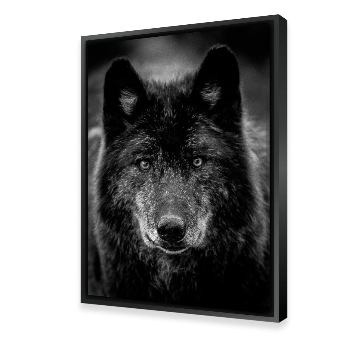 Black Wolf Headshot Wall Art