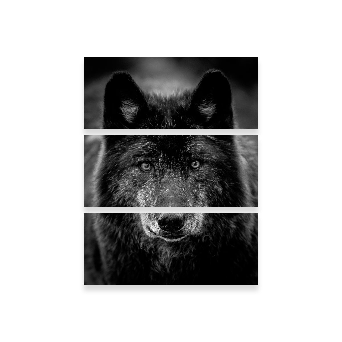 Black Wolf Headshot Wall Art