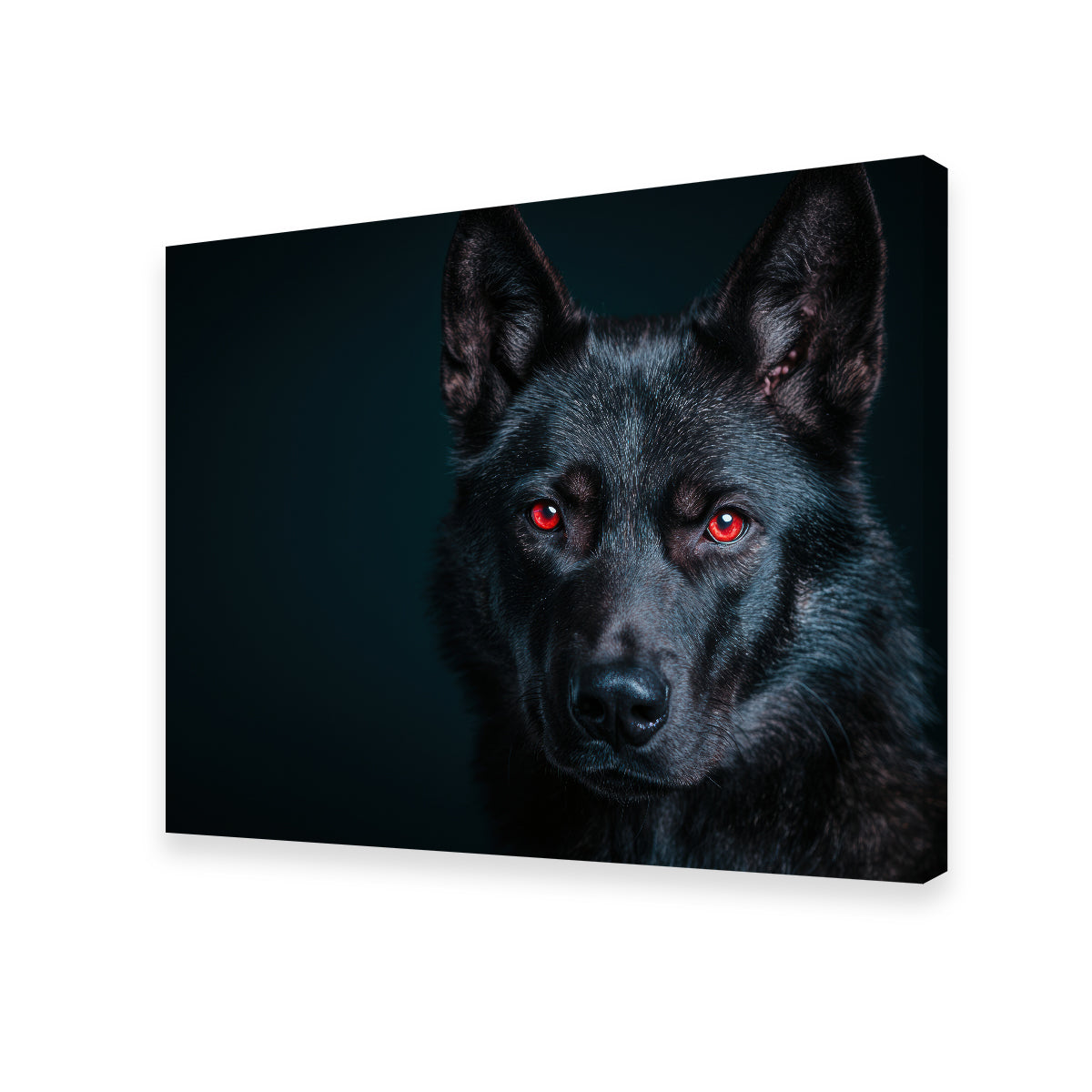 Black Wolf Red Eyes Wall Art