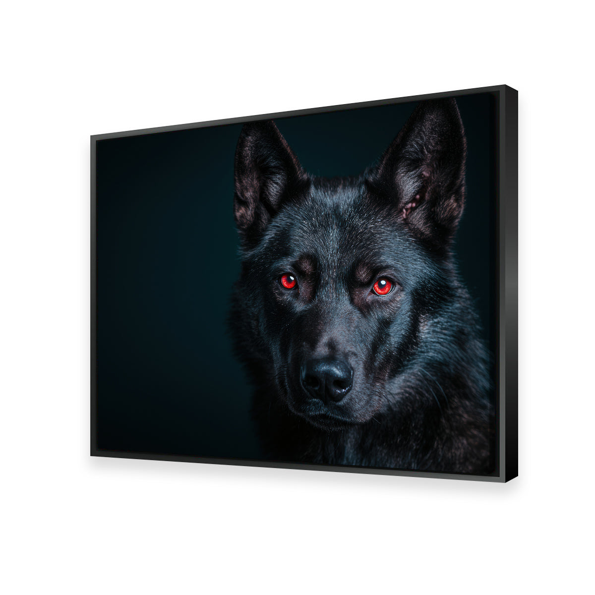Black Wolf Red Eyes Wall Art