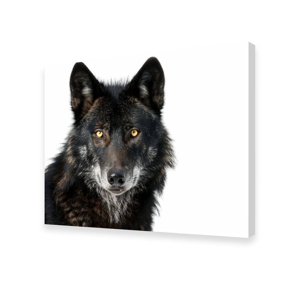 Black Wolf White Background Wall Art
