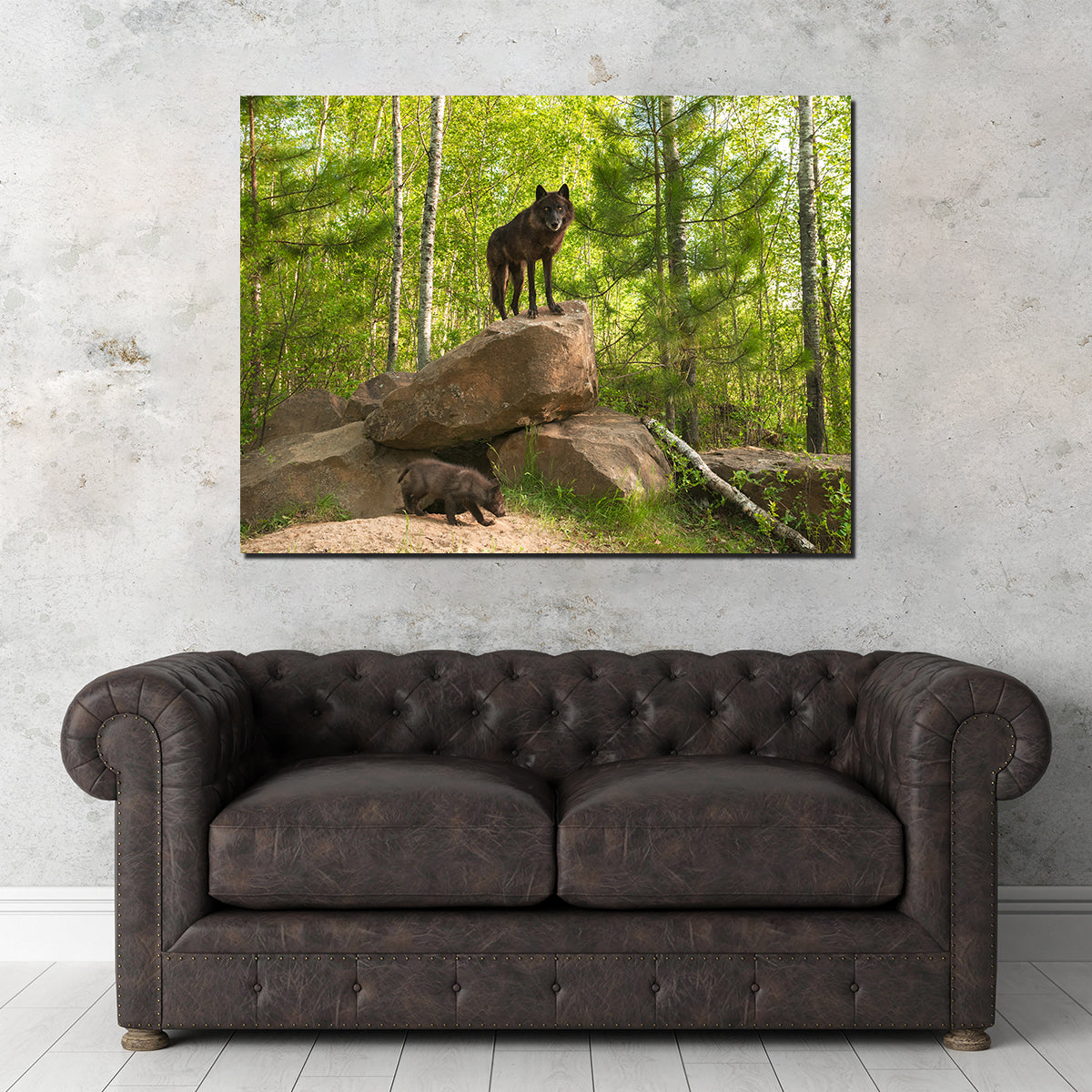 Black Wolf on Den Wall Art