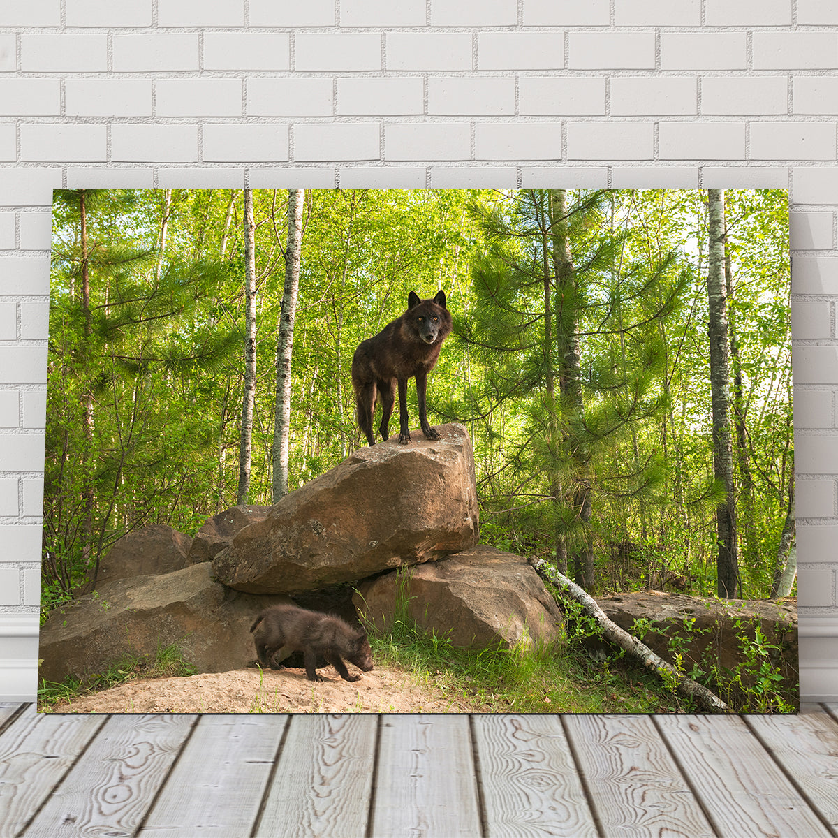 Black Wolf on Den Wall Art