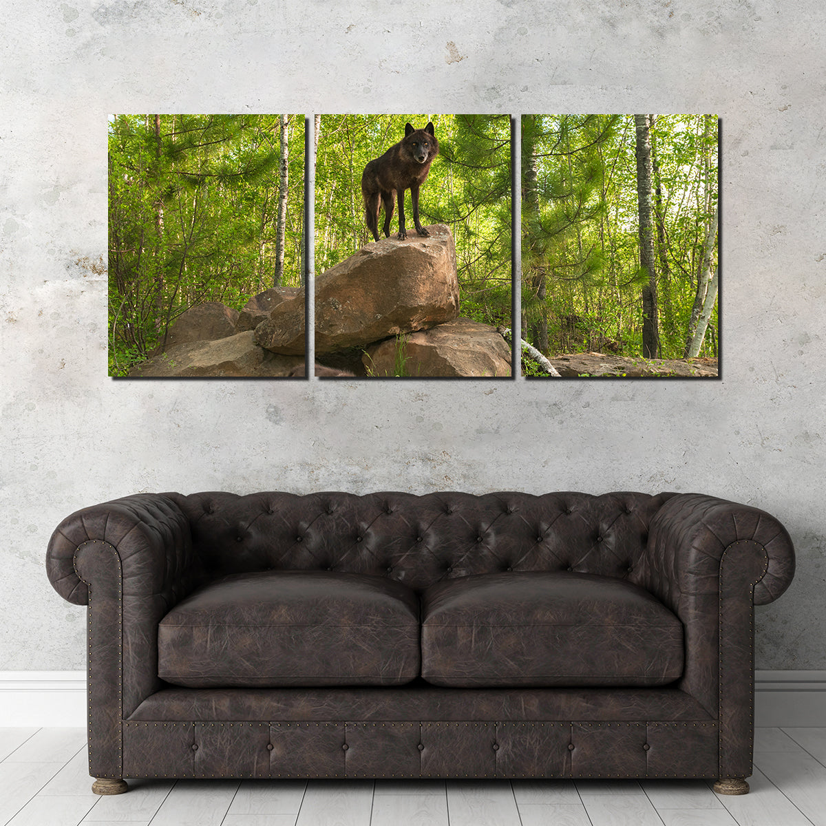 Black Wolf on Den Wall Art