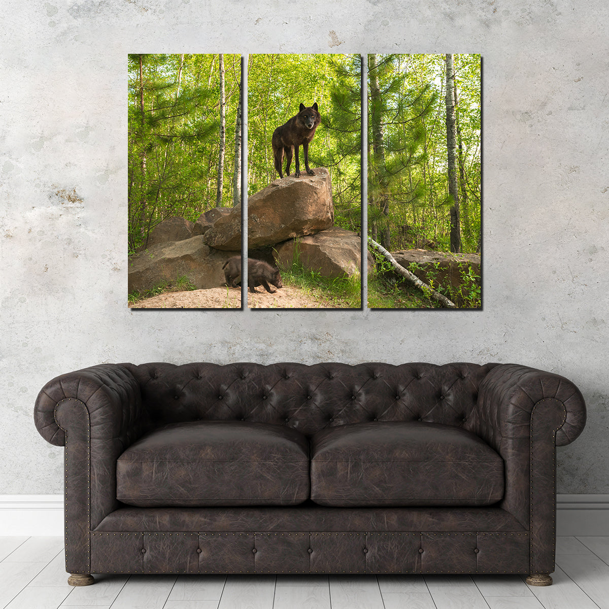 Black Wolf on Den Wall Art
