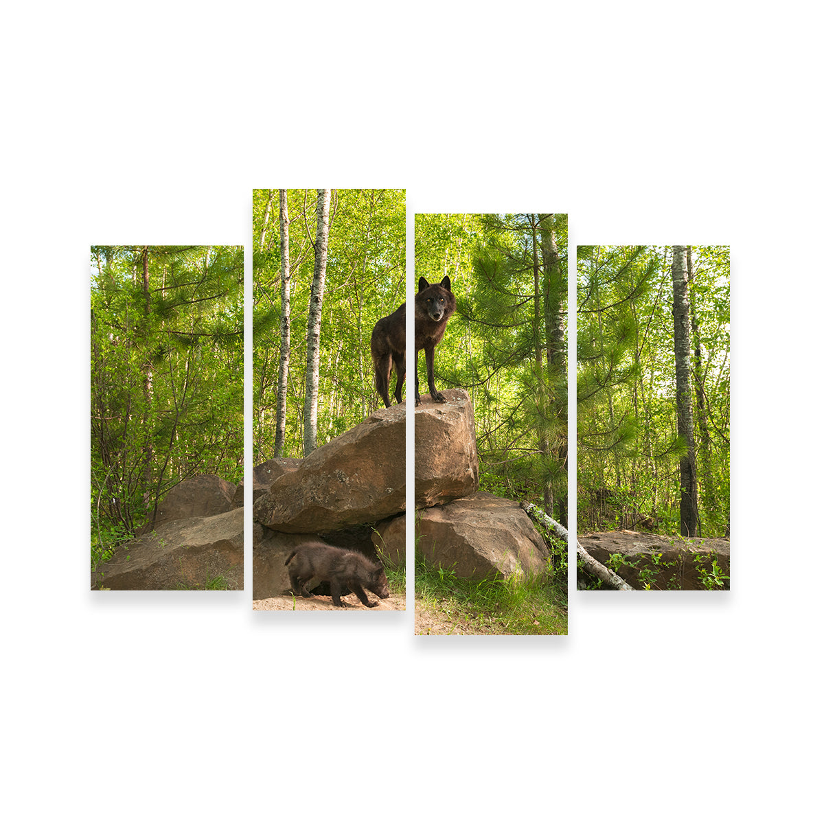 Black Wolf on Den Wall Art