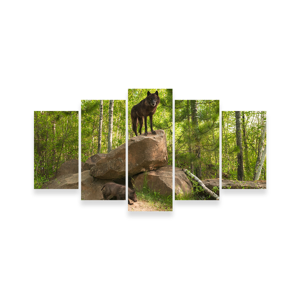Black Wolf on Den Wall Art