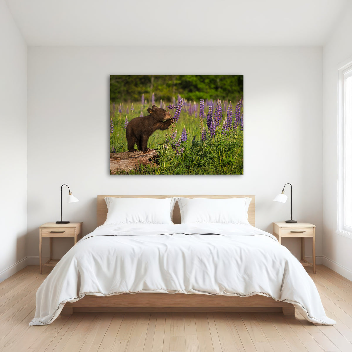 AUTO-MOCKUP ROOM | Black Bear Cub