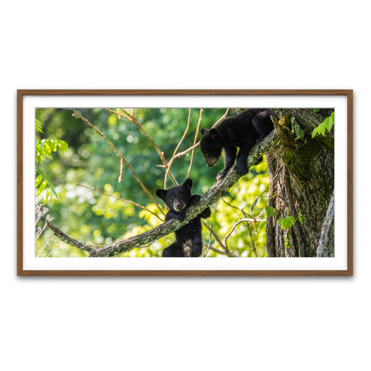 Framed Print 2x1 Walnut