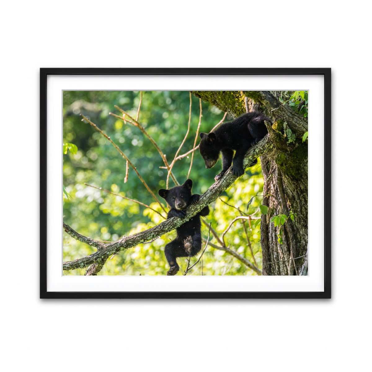 Framed Print 4x3 Black